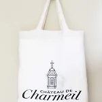 D'hotes Vichy : Chateau De Bed & Breakfast Charmeil