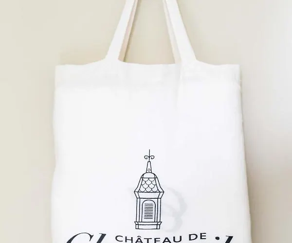 D'hotes Vichy : Chateau De Bed & Breakfast Charmeil