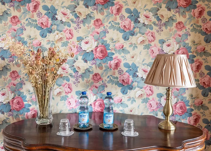 Bed & Breakfast D'hotes Vichy : Chateau De 4*